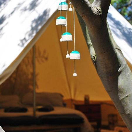 La Brujula Hostel La Paloma Dış mekan fotoğraf