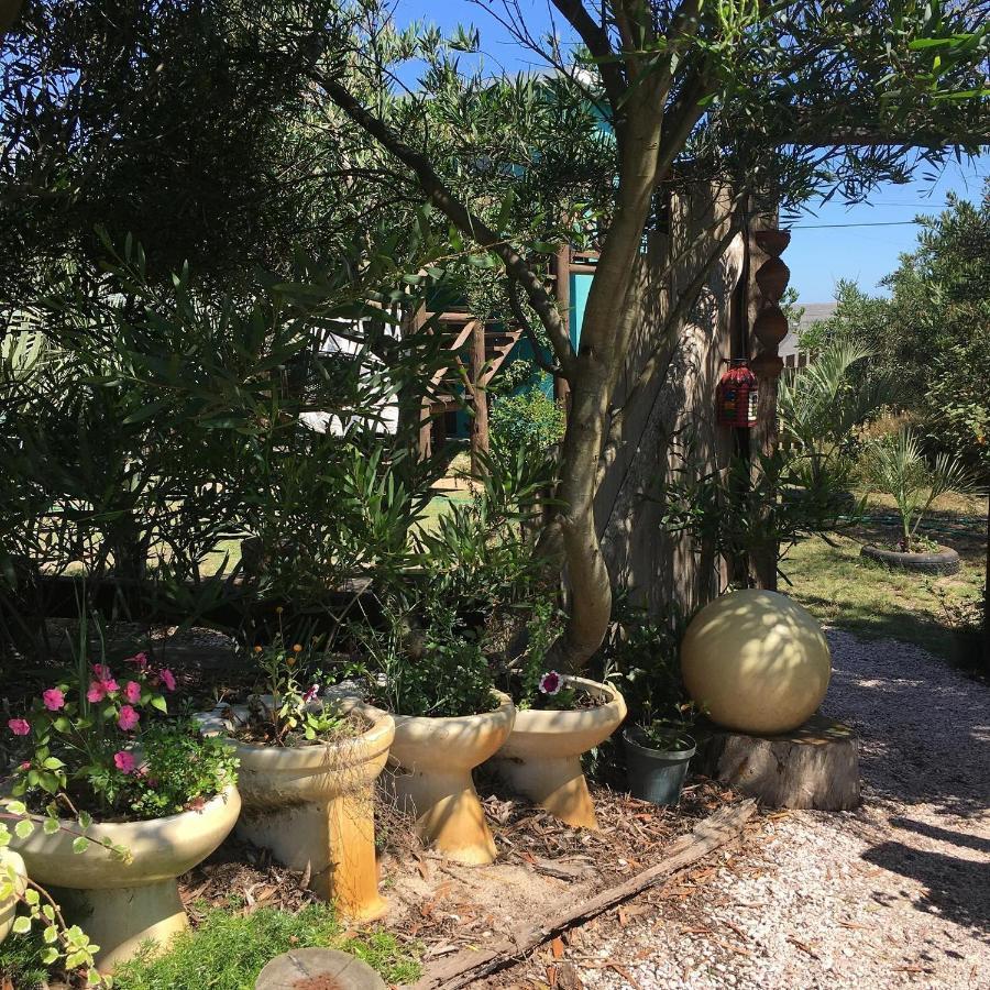 La Brujula Hostel La Paloma Dış mekan fotoğraf