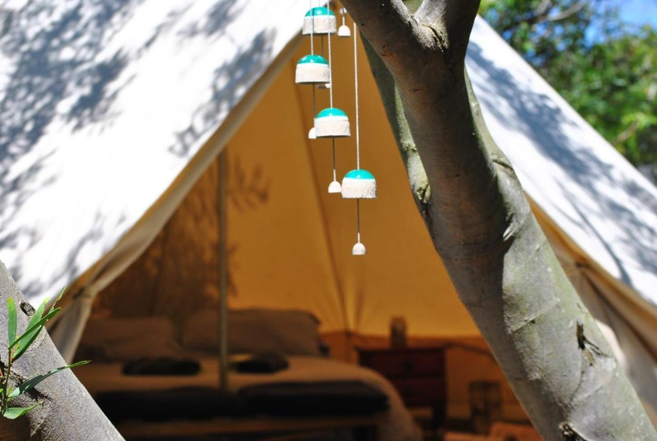 La Brujula Hostel La Paloma Dış mekan fotoğraf